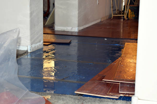 Professional Burst Pipe Water Damage technician working in Morton, TX